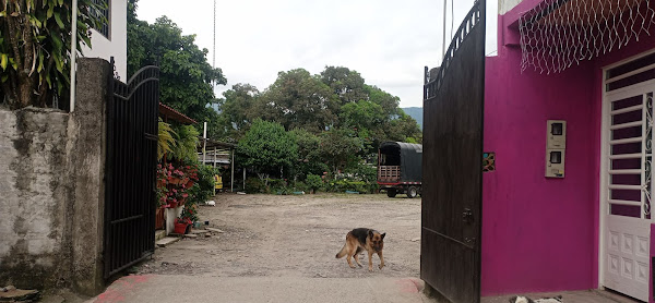 Entradas diferenciadas